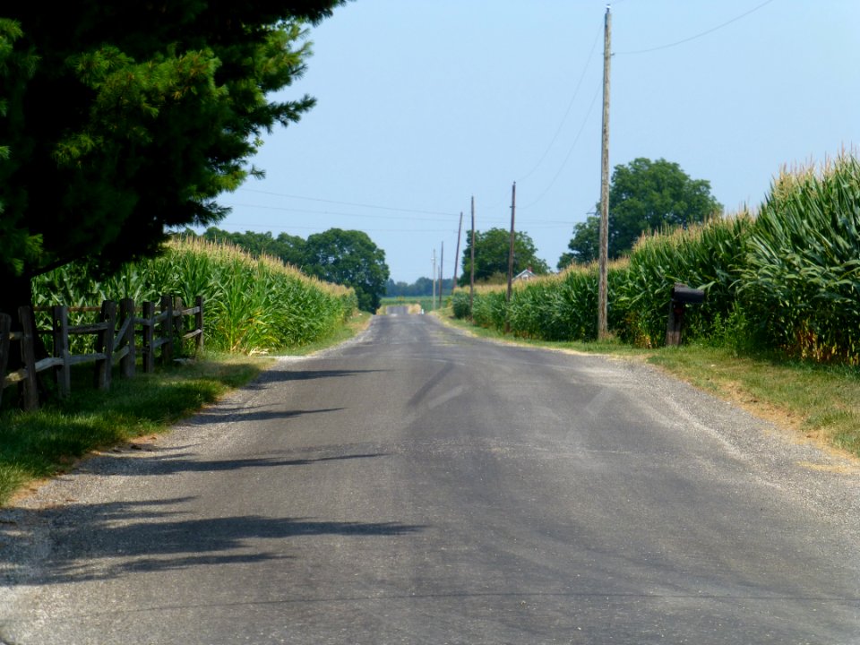 P1000248 