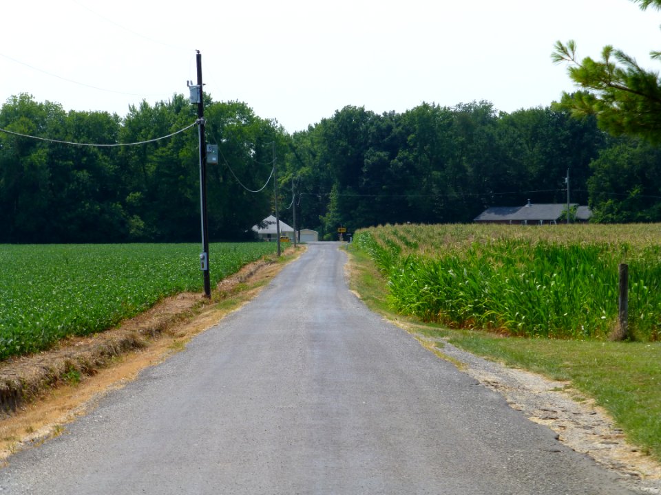 P1000249 