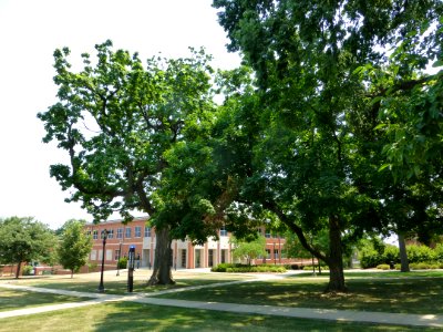 P1000276 