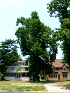 P1000283 