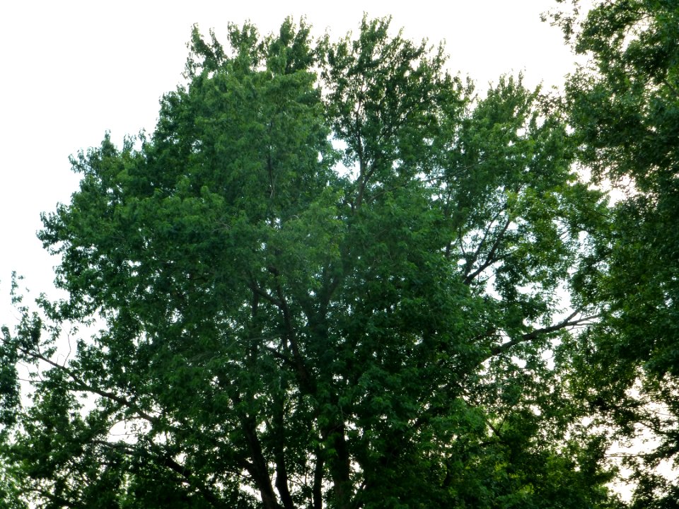P1000307 