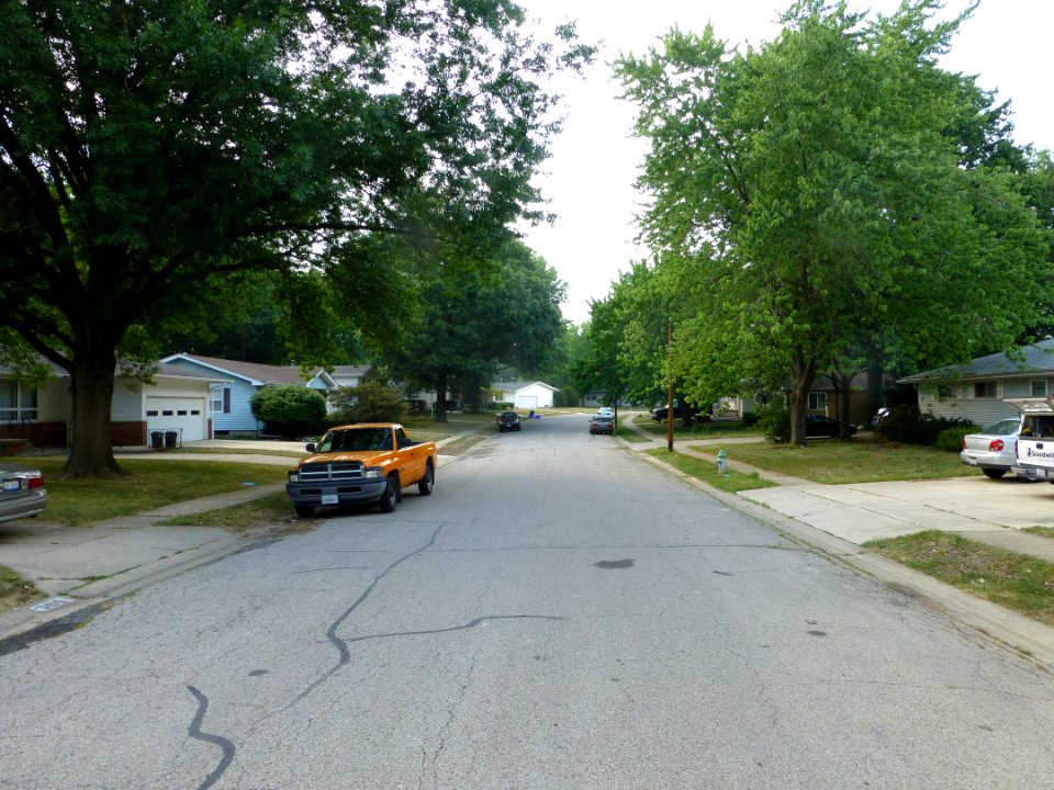 P1000308 