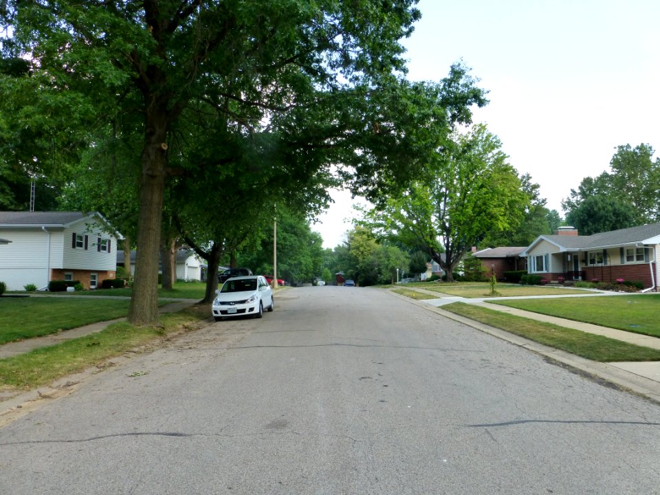 P1000309 