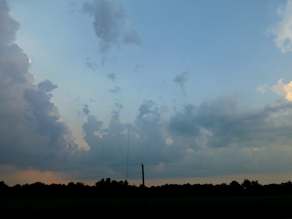 P1000313 