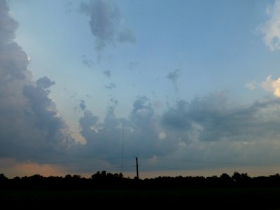 P1000313 