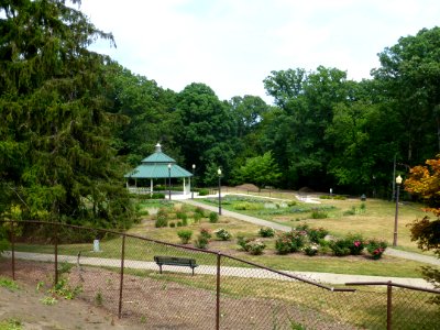 P1000337 