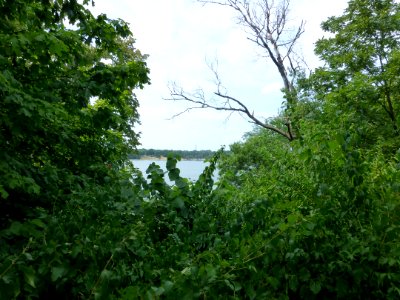 P1000341 