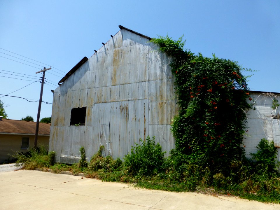 P1000397 
