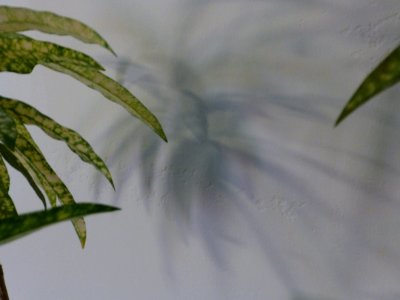 P1000425 