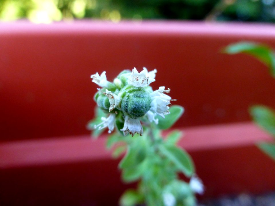 P1000512 