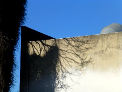 P1000548 