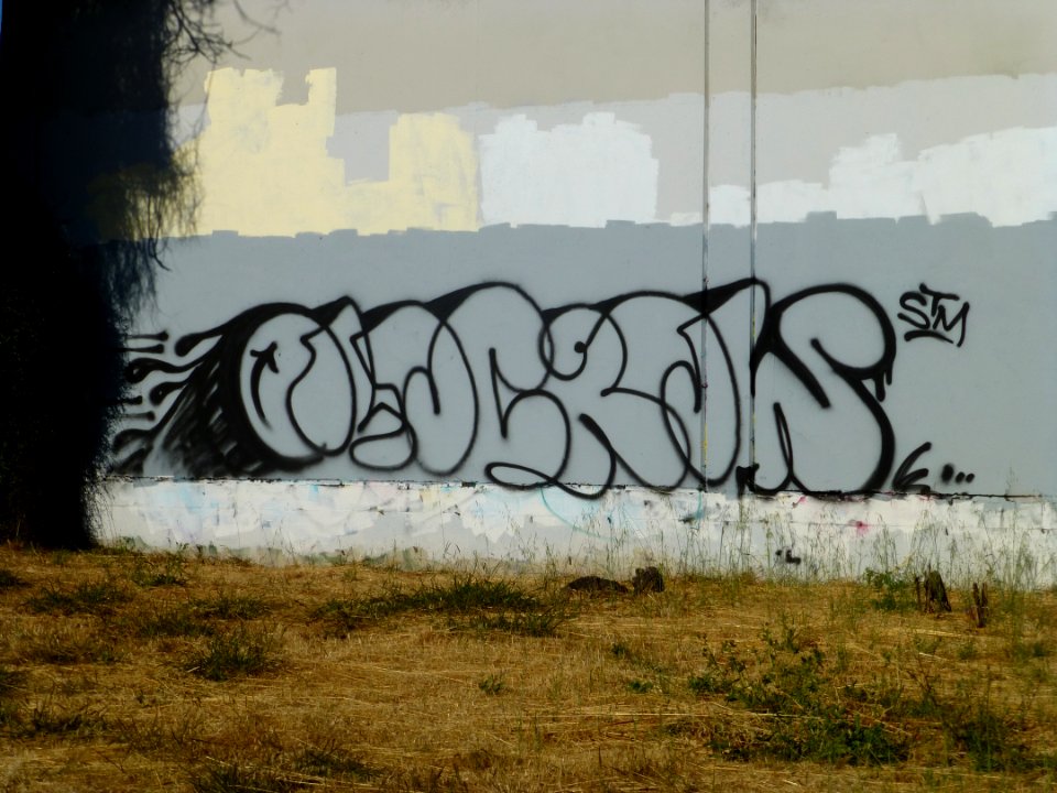 P1000547 