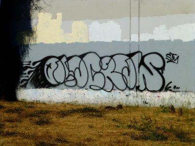 P1000547 