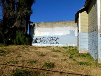 P1000546 