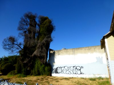 P1000549 