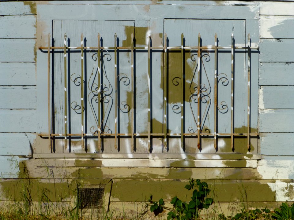 P1000550 
