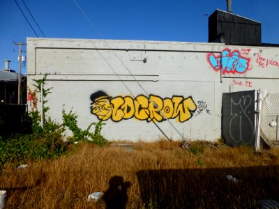 P1000563 