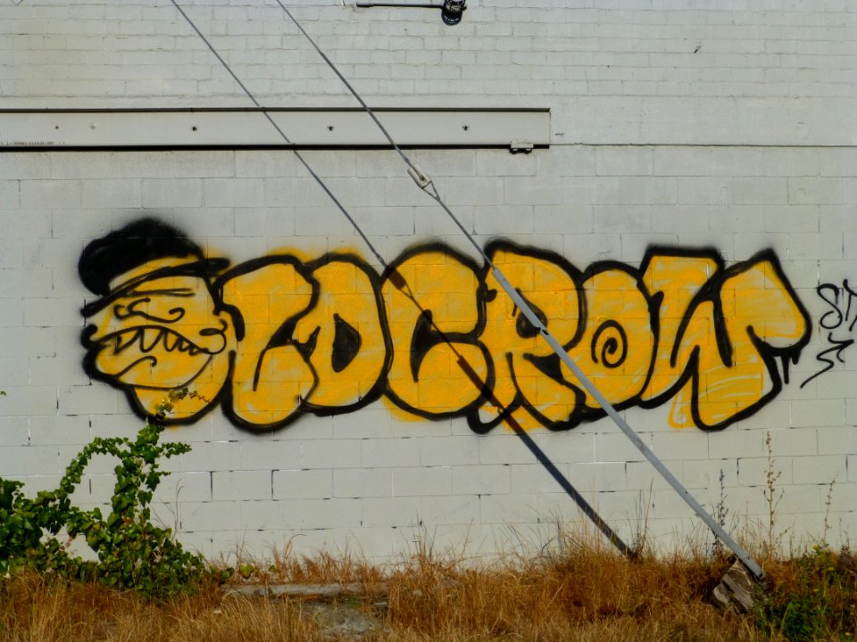 P1000564 