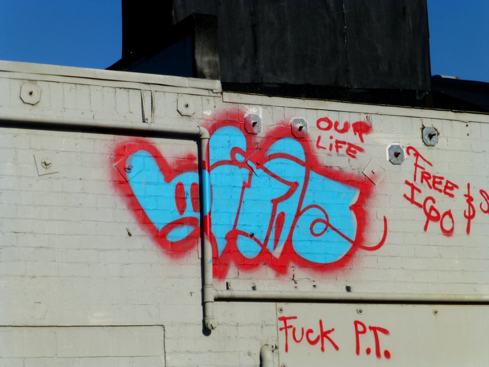 P1000565 