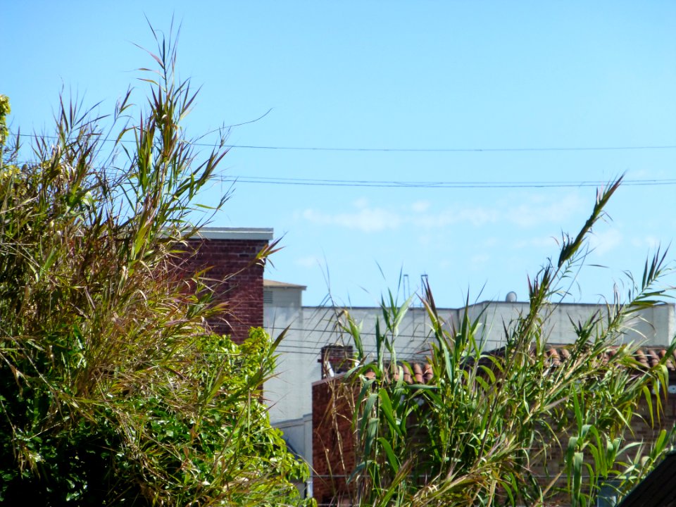 P1000584 