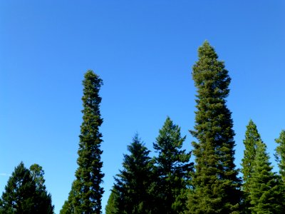 P1000640 