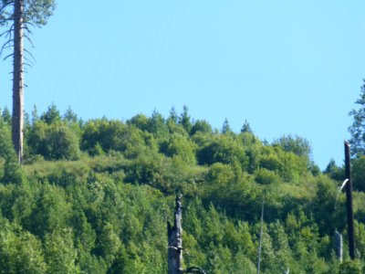P1000650 
