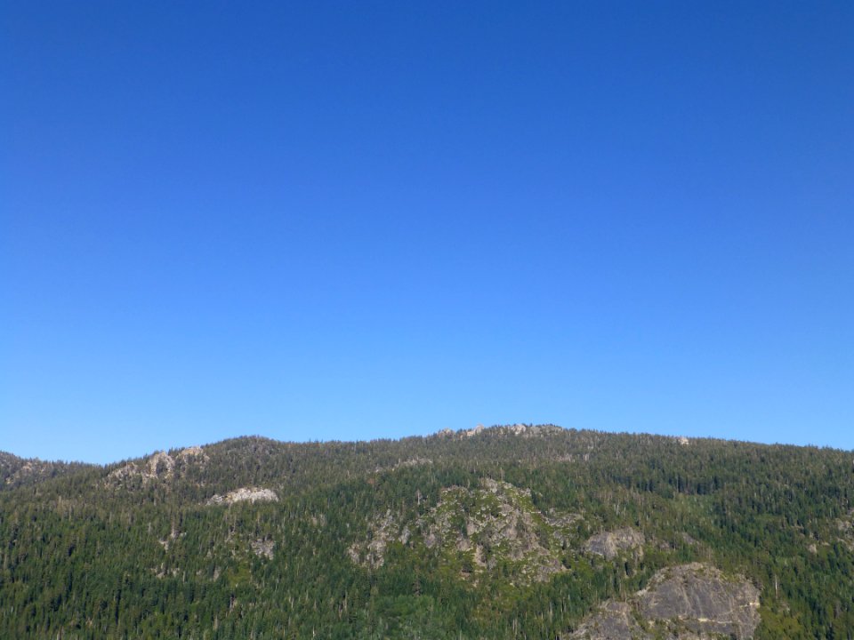 P1000658 