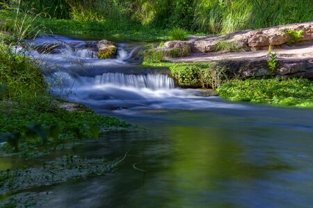 Forest fossil spring coconino national forest