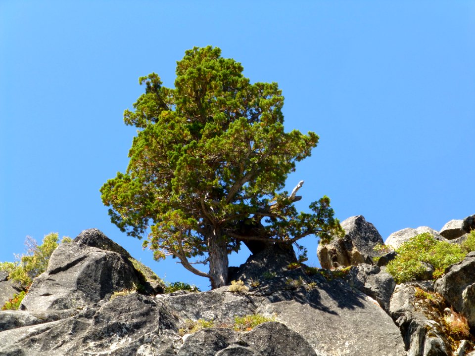 P1000720 