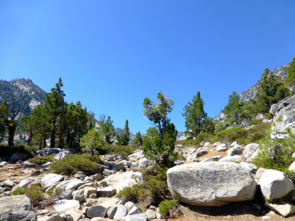 P1000726 