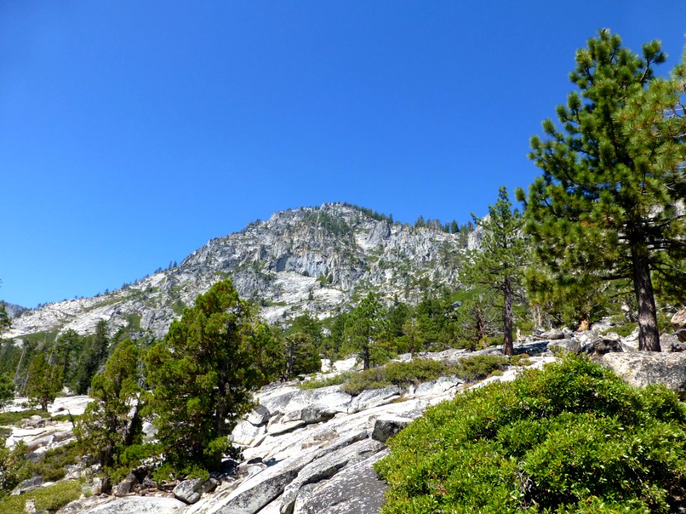 P1000729 