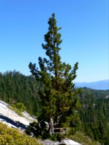 P1000734 