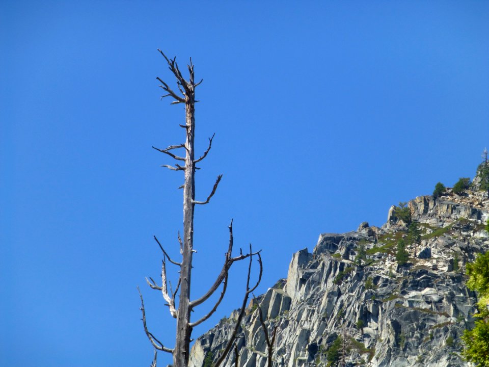 P1000736 