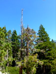 P1000737 