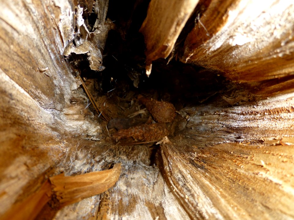 P1000755 
