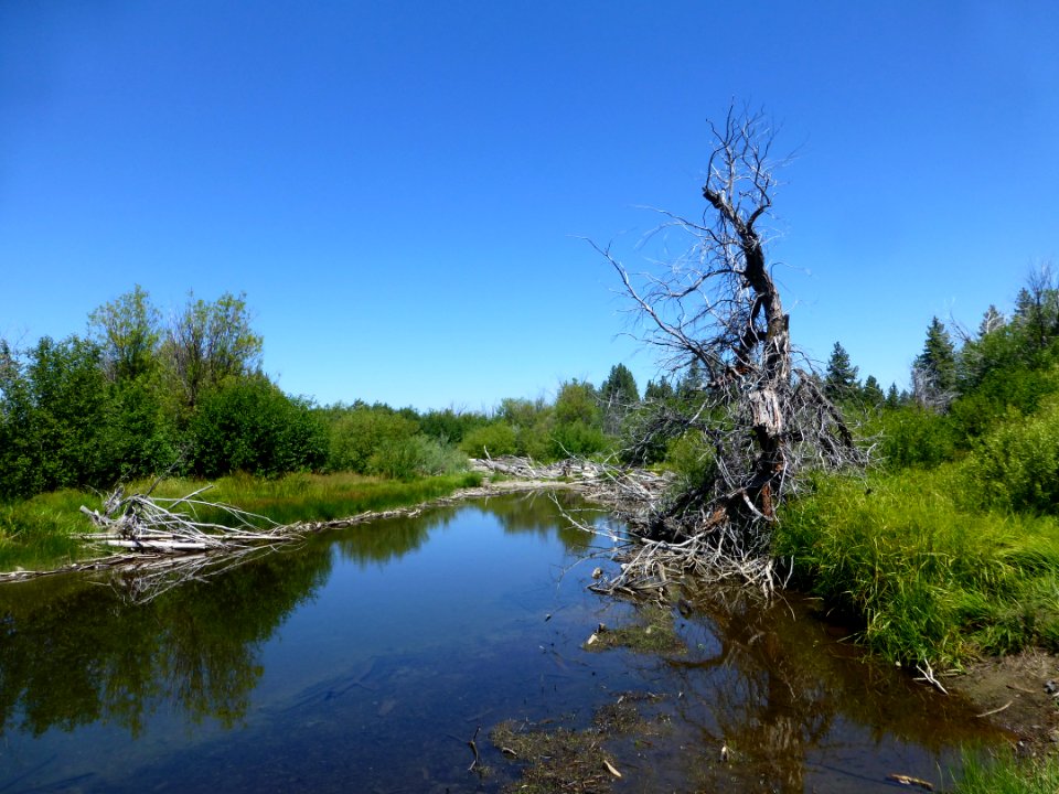 P1000765 