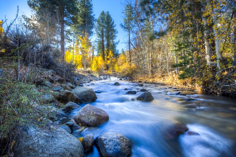 River flowing landscape