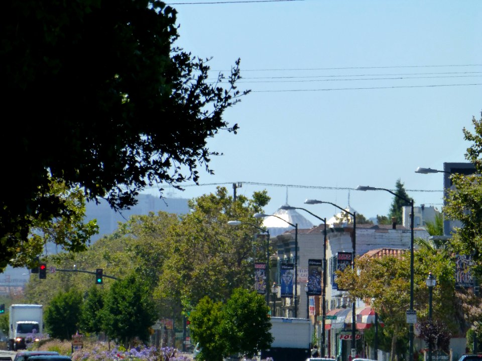 P1000807 