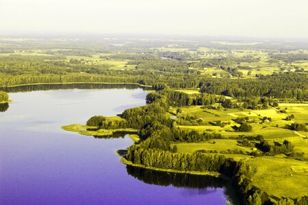 Lithuania green forests