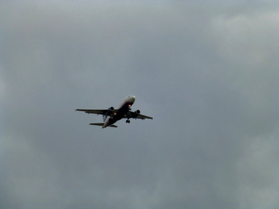P1000838 
