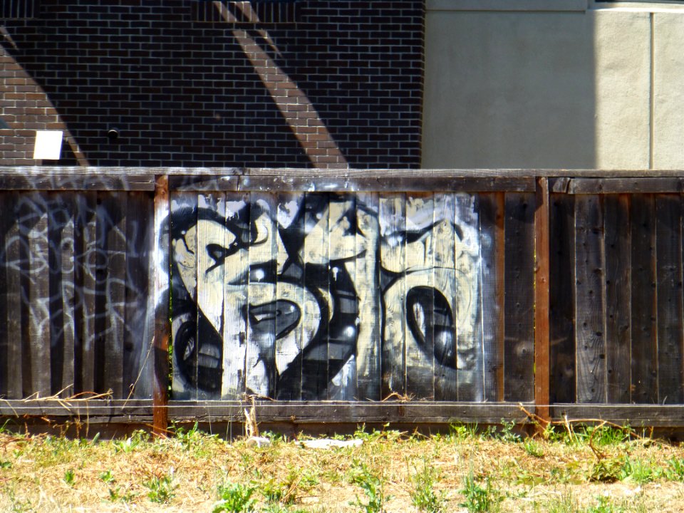 P1000849 