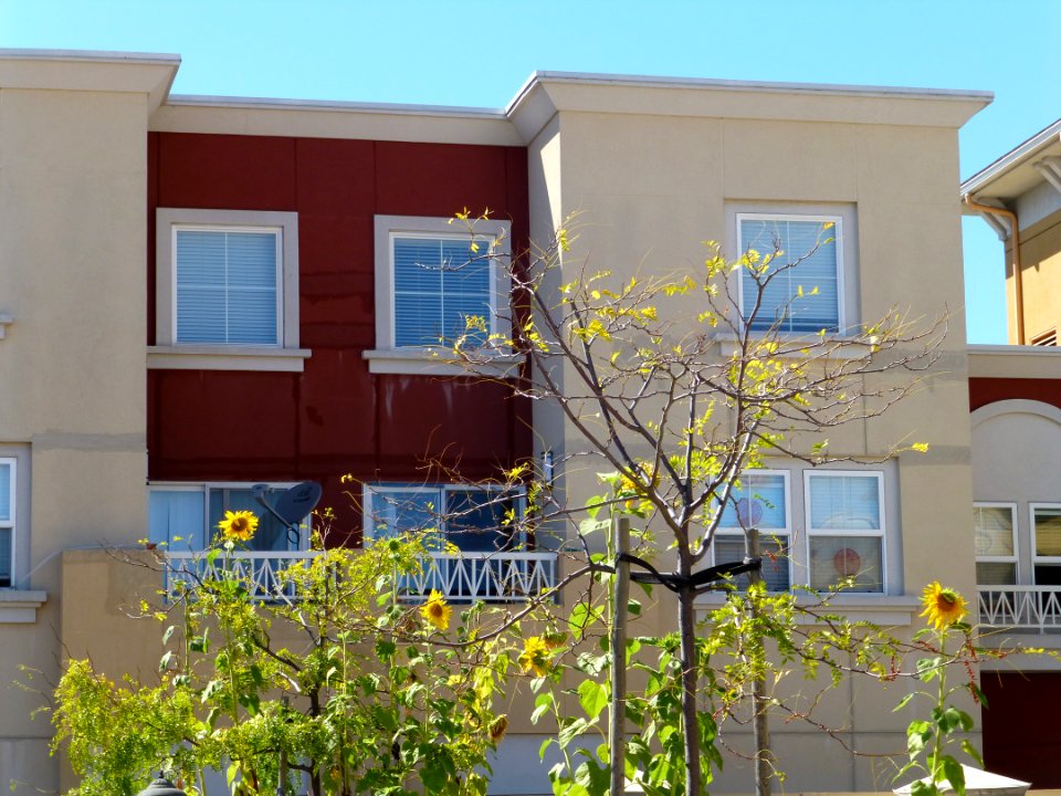P1000861 