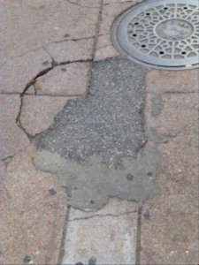 P1000869 