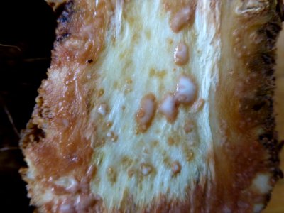 P1000903 