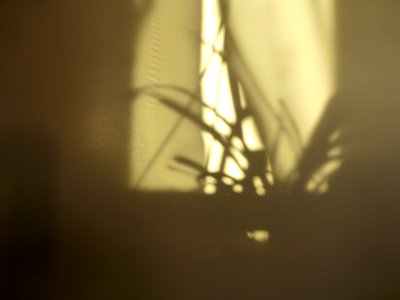 P1000927 