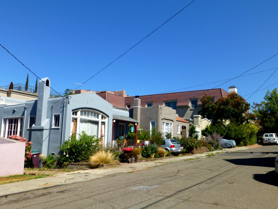 P1000950 