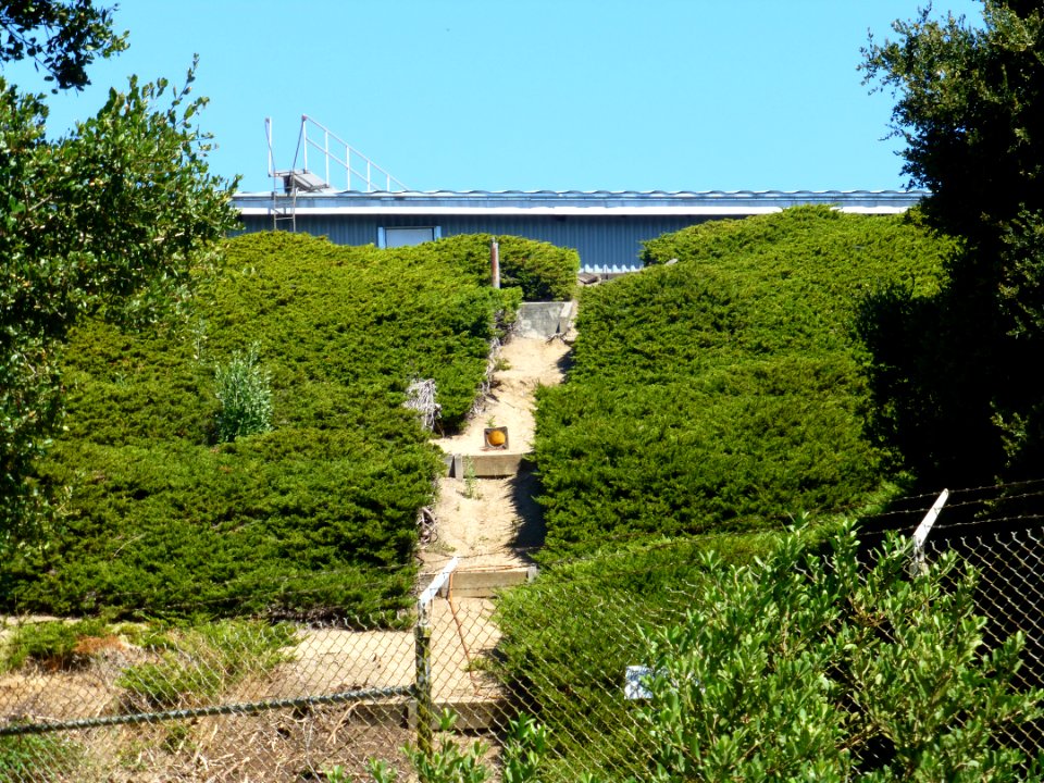 P1000960 