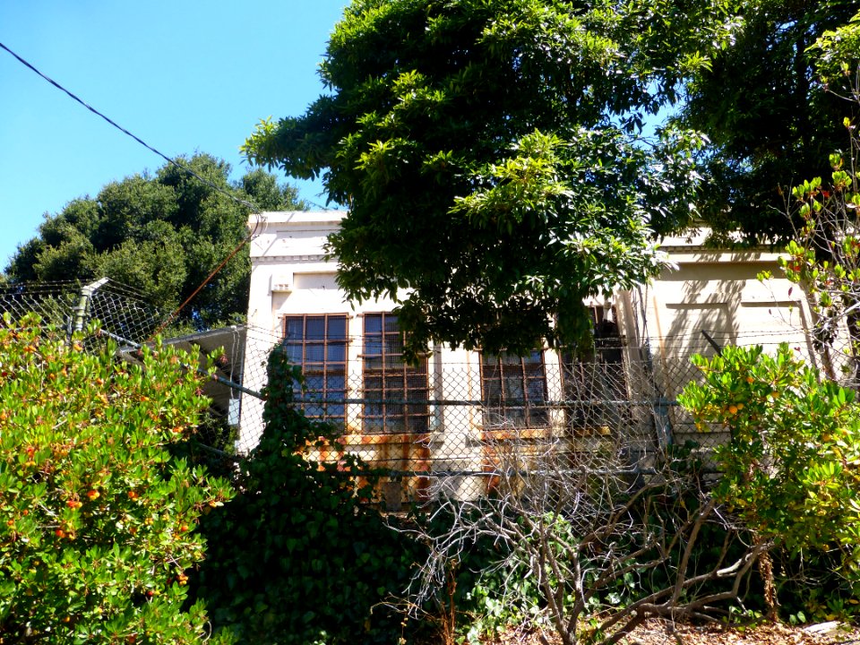 P1000961 