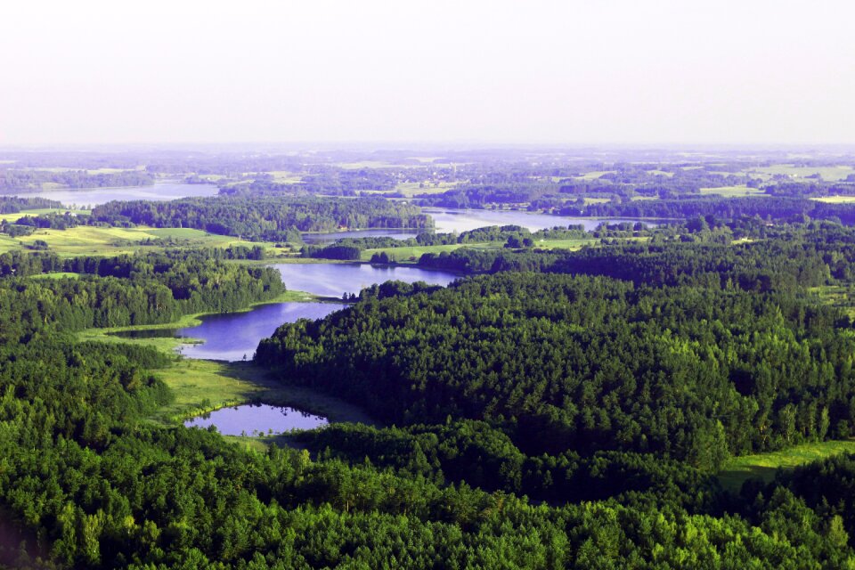 Lithuania bird's flight mist