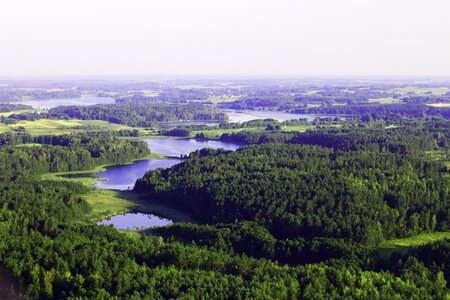 Lithuania bird's flight mist